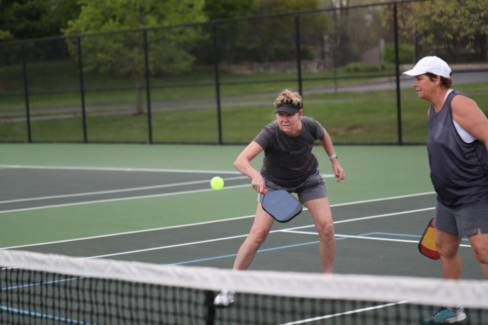 How To Do A Dink Shot In Pickleball Picklevine