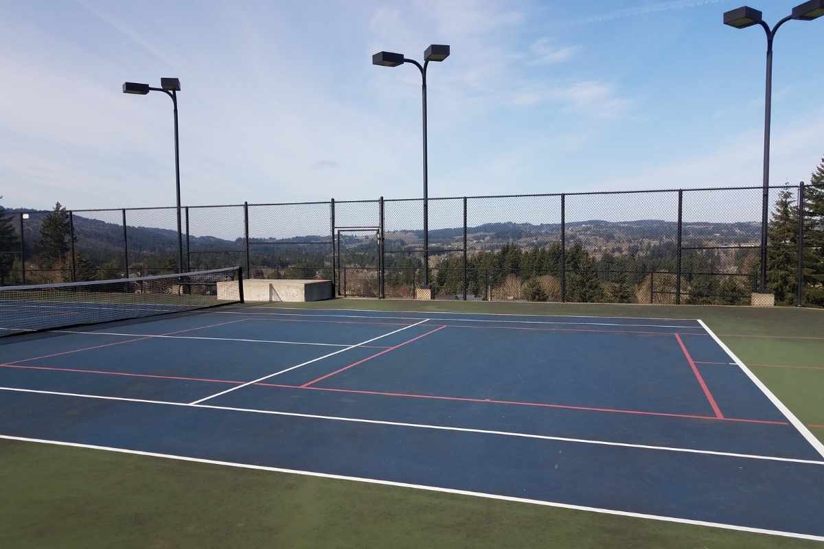 How Much Does It Cost To Build A Pickleball Court PickleVine how-much-does-it-cost-to-build-a-pickleball-court-picklevine