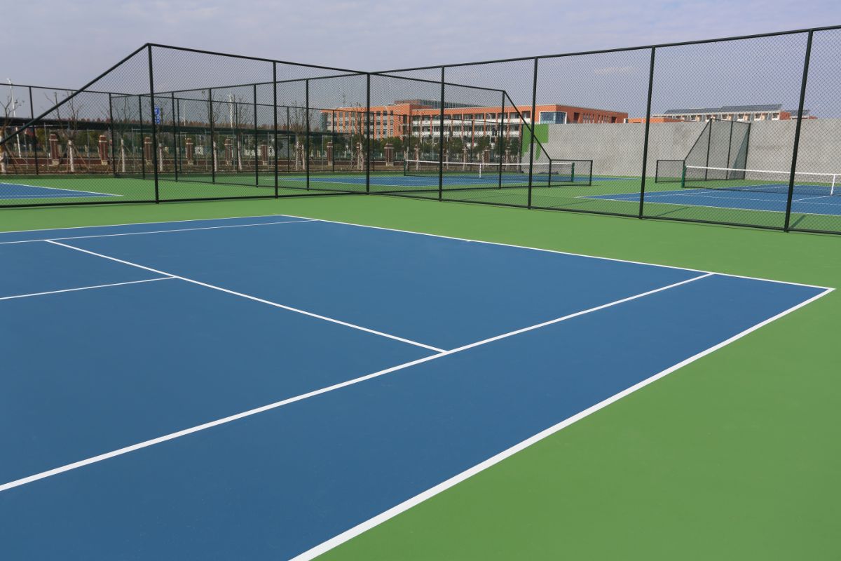 A vector of multiple pickleball court.